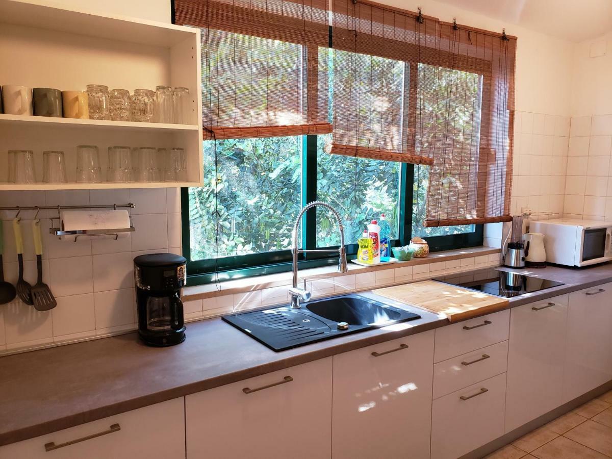 Apartments Tanja Живогошче Экстерьер фото